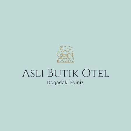 Asli Boutique Hotel Акбук Экстерьер фото